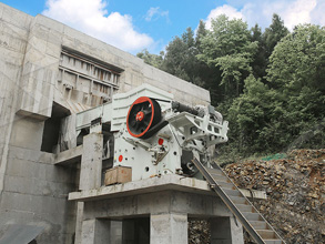 上海索维粉碎机125型